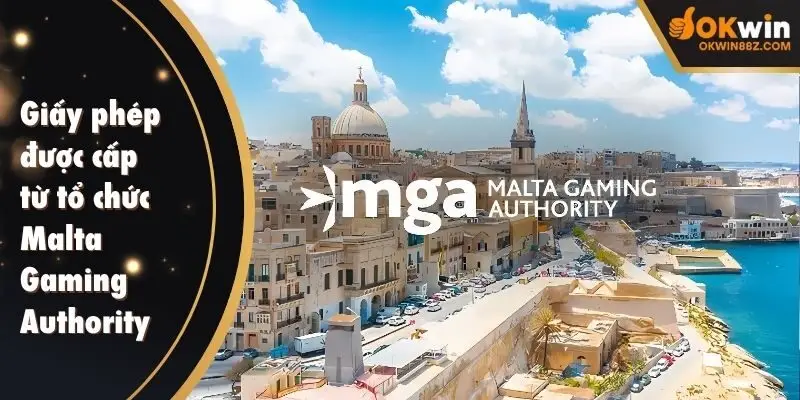 Giấy phép được cấp cho liên minh từ tổ chức Malta Gaming Authority