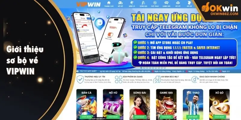 Giới thiệu sơ bộ về VIPWIN