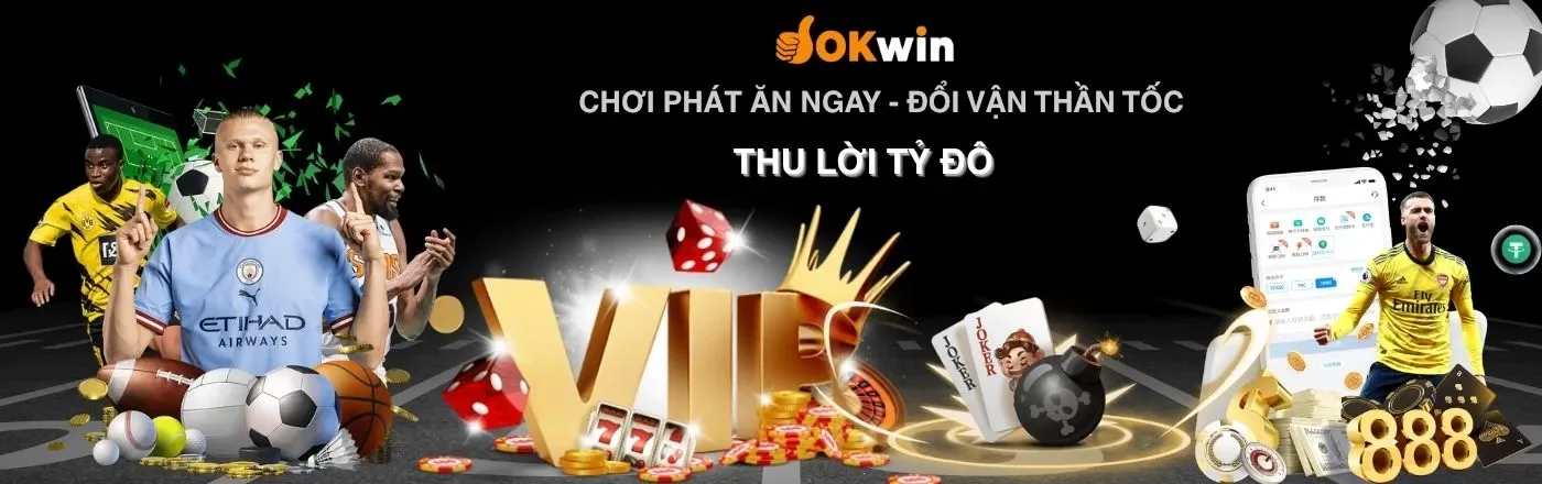 Banner okwin